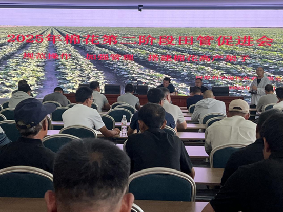 尉犁利华现代农业有限公司召开第二阶段田管推进会 田间观摩强认知 精准施策固丰产根基