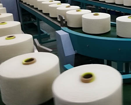 公司组织种植板块干部员工参观纺织产业园